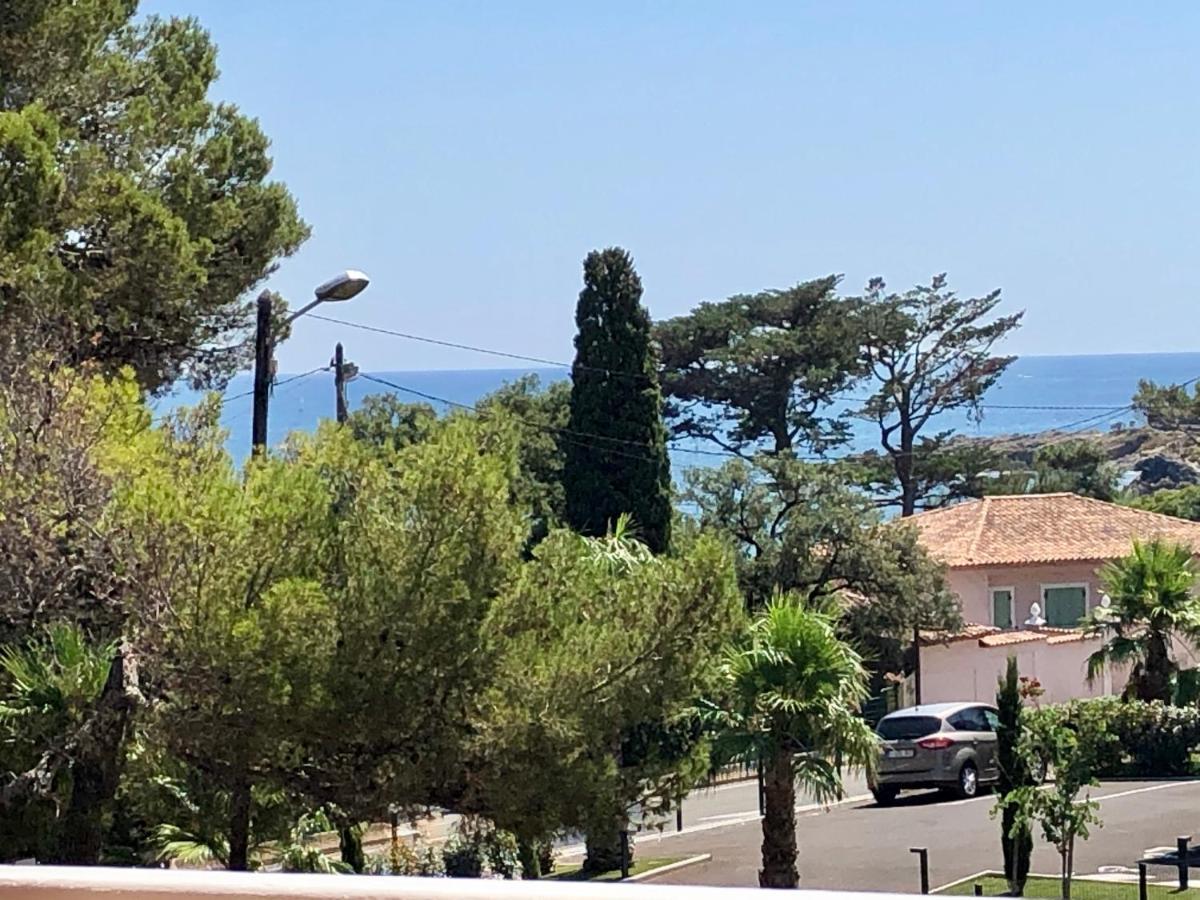 Apartment Newly Renovated Aircond-Wifi-Pool-Sea View-150M To Beaches- סנט-אגף מראה חיצוני תמונה
